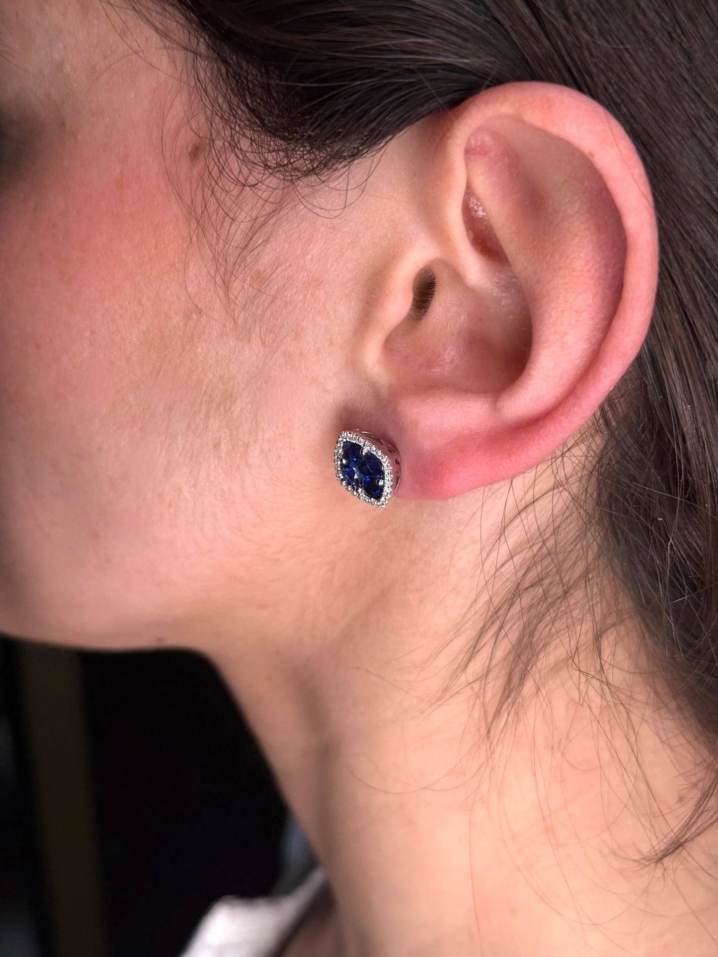 Ladies Oval and Princess Sapphire and Diamond Earrings