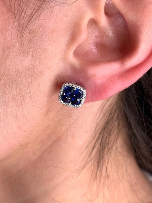 Ladies Oval and Princess Sapphire and Diamond Earrings